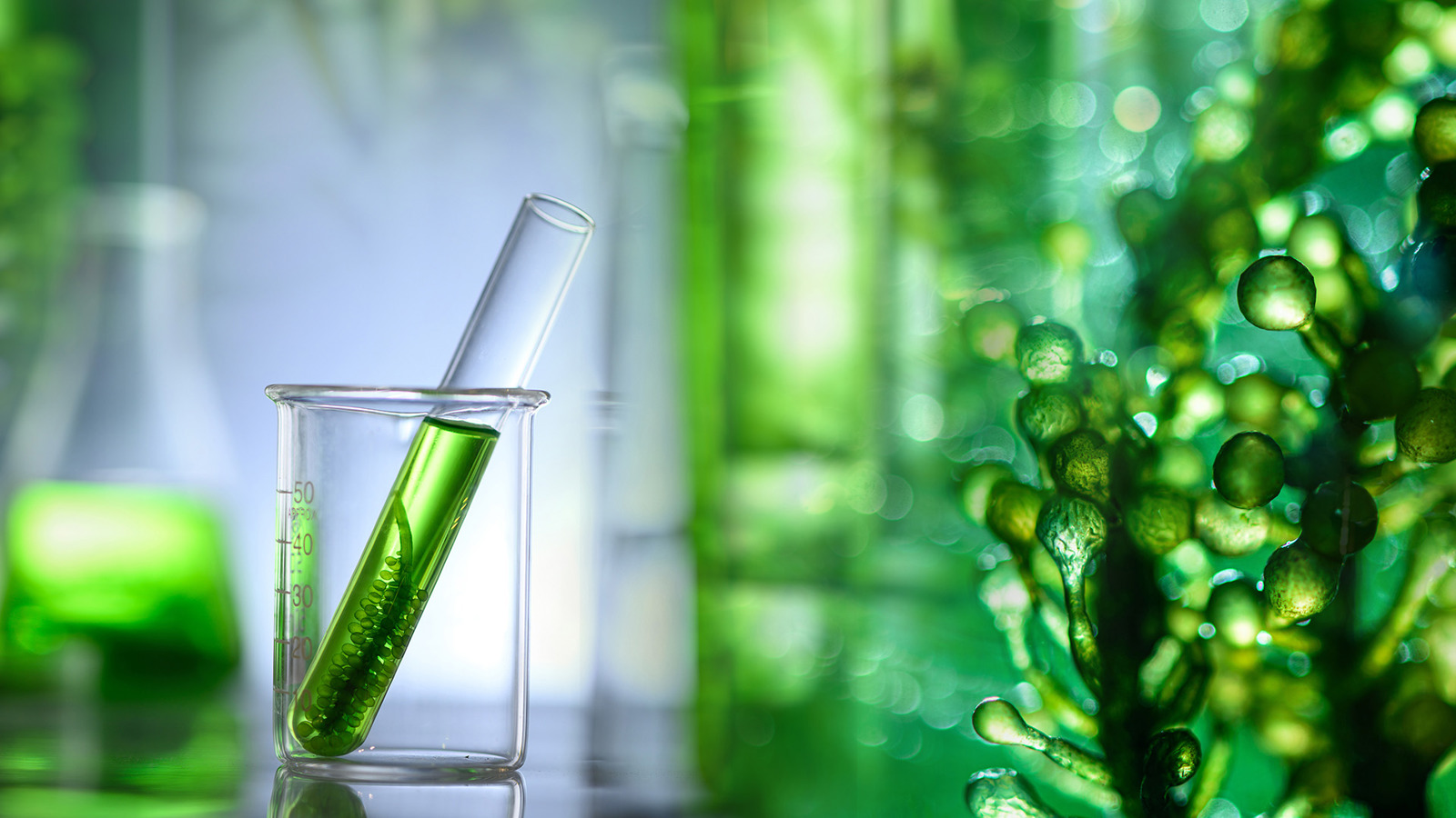 Test tube of green fluid