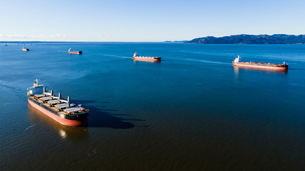 several bulk ships in the ocean with land in sight