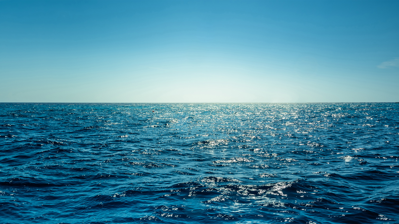 Ocean