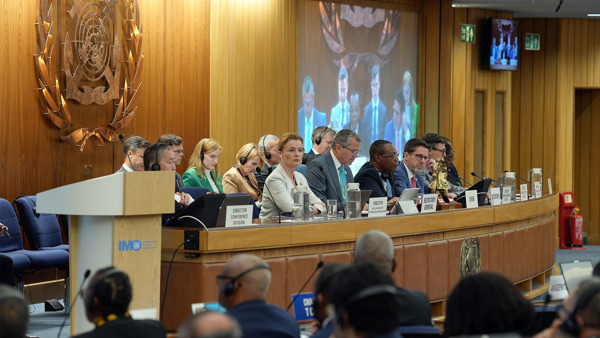 IMO secretariat during meeting