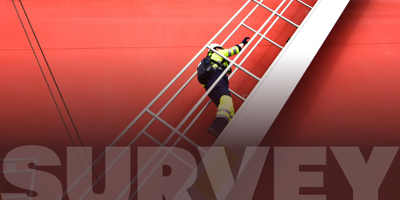 Crewing Levels Survey