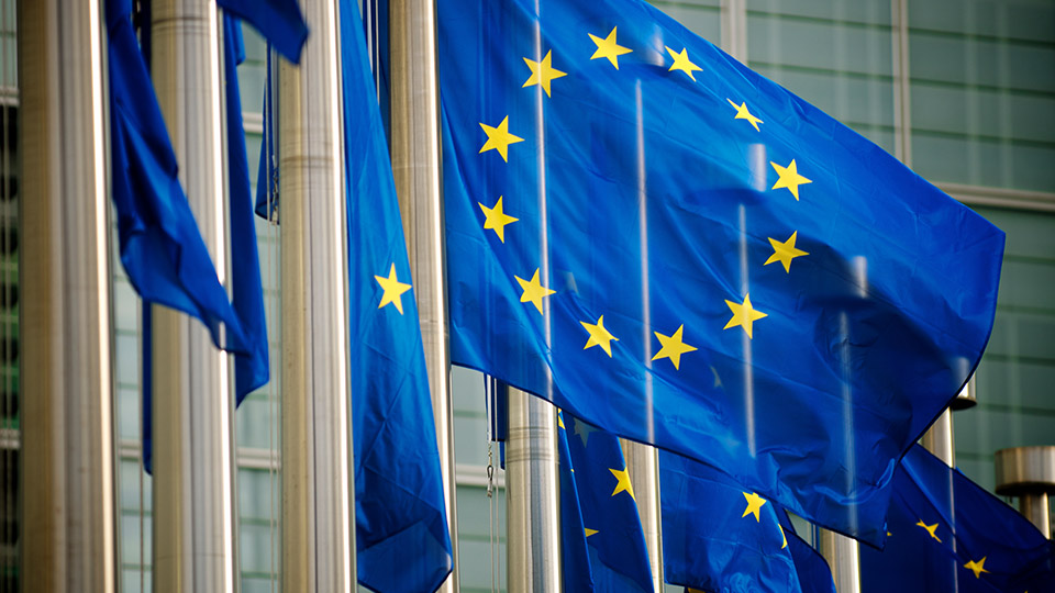 EU flags on flagpoles