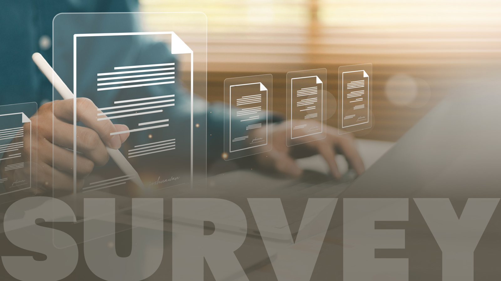 Virtual survey graphic